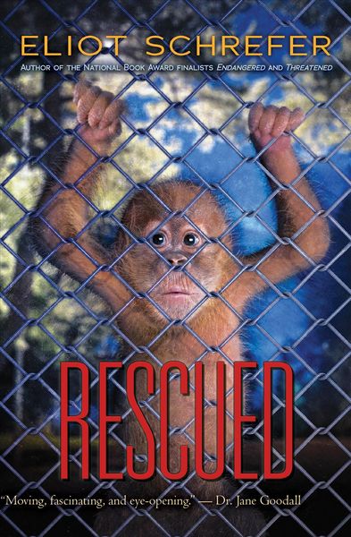 Produktbild: Rescued