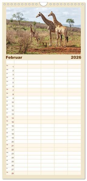 Produktbild: Familienplaner 2026 - S&uuml;dafrika wunderbare Tierwelt mit 5 Spalten (Wandkalender, 21 x 45 cm) CALVENDO