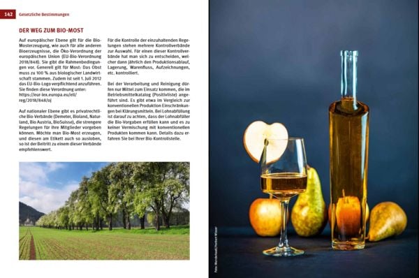 Produktbild: Cider, Most & Apfelwein