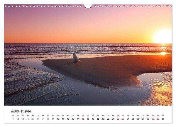 Produktbild: Ein Samojede am Meer (Wandkalender 2026 DIN A3 quer), CALVENDO Monatskalender