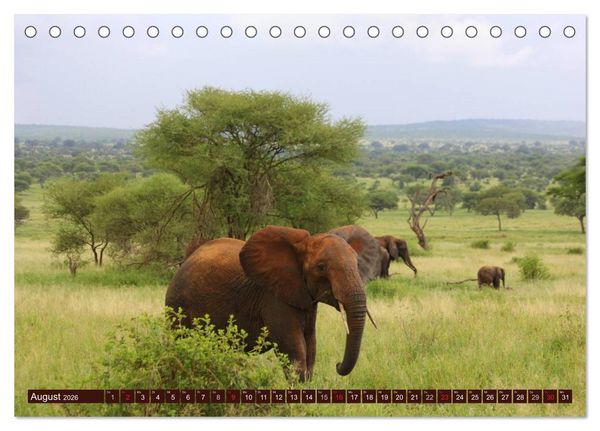 Produktbild: Afrika. Zauber des schwarzen Kontinents (Tischkalender 2026 DIN A5 quer), CALVENDO Monatskalender