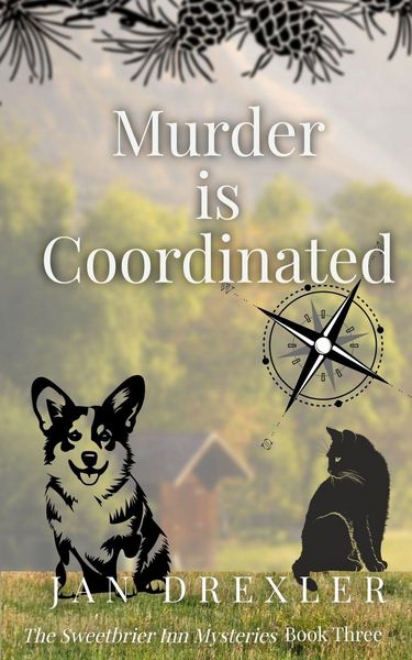 Produktbild: Murder is Coordinated