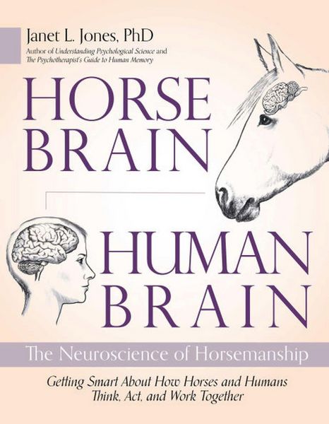 Produktbild: Horse Brain, Human Brain