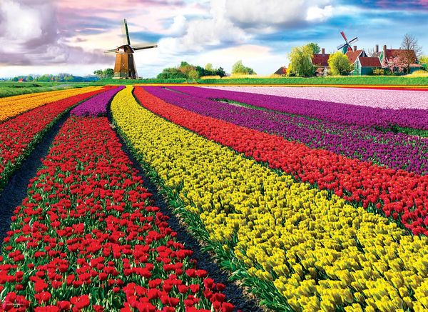 Produktbild: Tulpenfelder Niederlande (Puzzle)