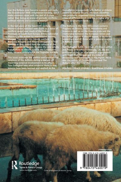 Produktbild: The Balkans in the New Millennium