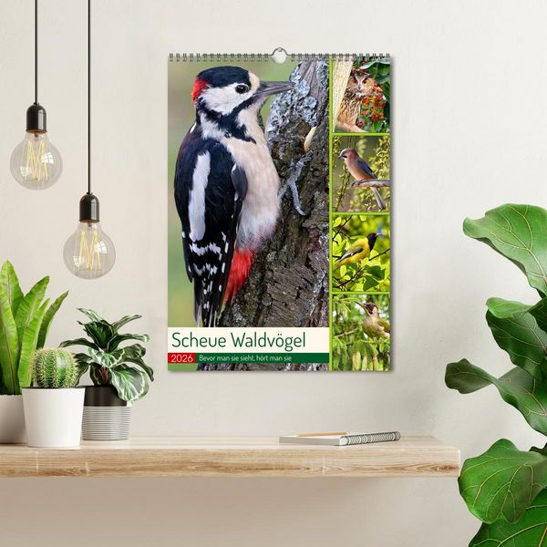 Produktbild: Scheue Waldv&ouml;gel (Wandkalender 2026 DIN A3 hoch), CALVENDO Monatskalender