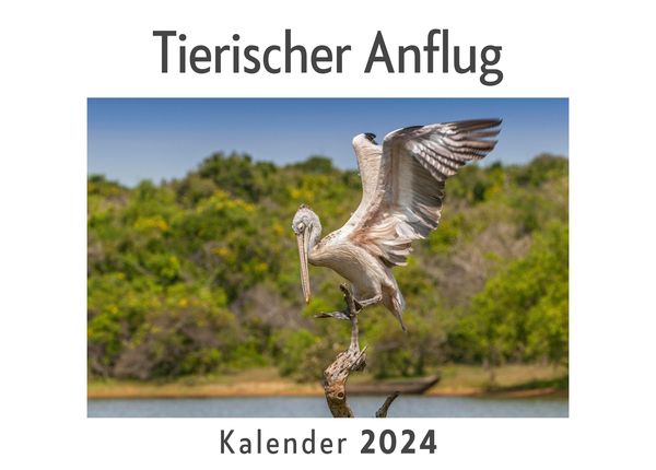 Produktbild: Tierischer Anflug (Wandkalender 2024, Kalender DIN A4 quer, Monatskalender im Querformat mit Kalendarium, Das perfekte Geschenk)