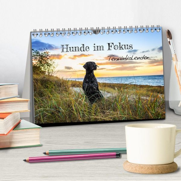 Produktbild: Hunde im Fokus (Tischkalender 2026 DIN A5 quer), CALVENDO Monatskalender