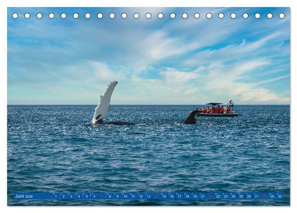 Produktbild: KANADA - Der maritime Osten (Tischkalender 2026 DIN A5 quer), CALVENDO Monatskalender