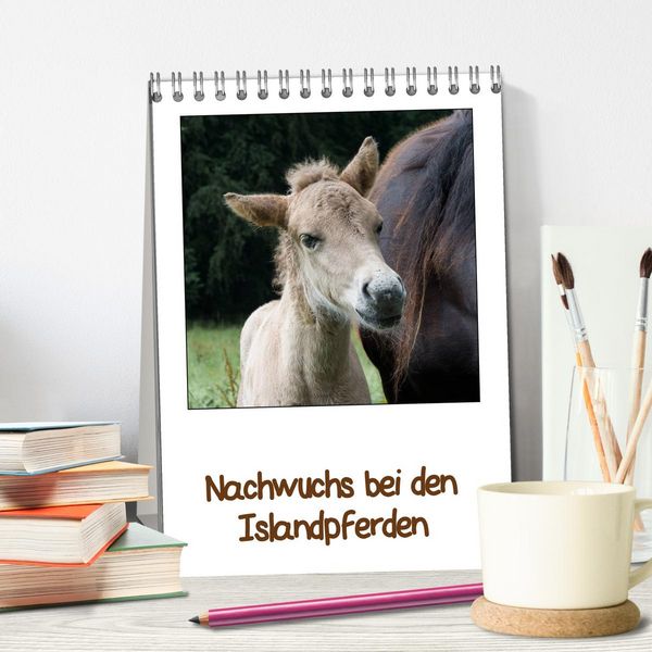 Produktbild: Nachwuchs bei den Islandpferden (Tischkalender 2026 DIN A5 hoch), CALVENDO Monatskalender