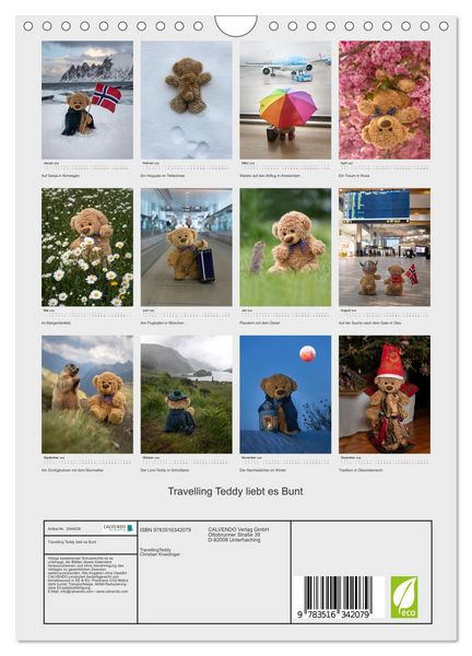Produktbild: Travelling Teddy liebt es Bunt (Wandkalender 2026 DIN A4 hoch), CALVENDO Monatskalender