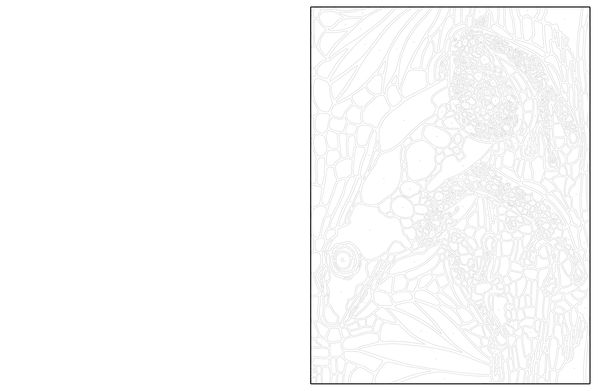 Produktbild: Ausmalen und Entdecken
