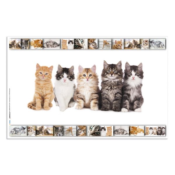 Produktbild: HERMA Schreibtischunterlage Katzen 55x35cm