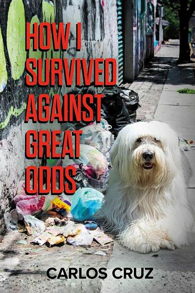 Produktbild: How I Survived Against Great Odds