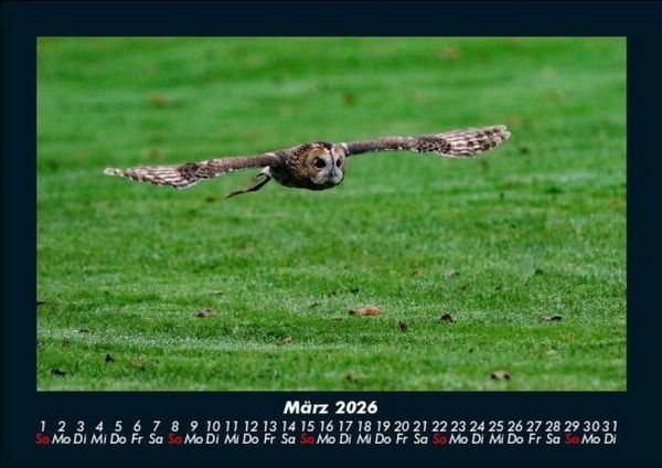 Produktbild: Der Tierkalender 2026 Fotokalender DIN A5