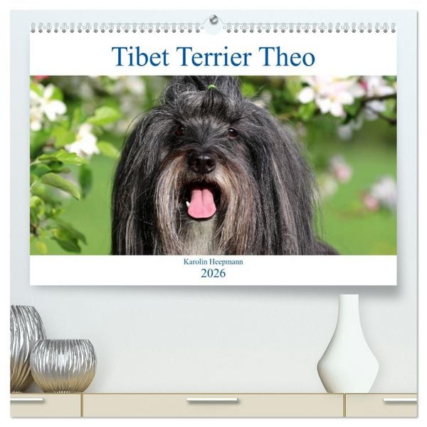 Produktbild: Tibet Terrier Theo (hochwertiger Premium Wandkalender 2026 DIN A2 quer), Kunstdruck in Hochglanz