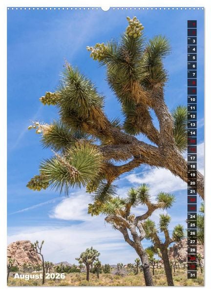 Produktbild: Impressionen aus dem JOSHUA TREE NATIONAL PARK (Wandkalender 2026 DIN A2 hoch), CALVENDO Monatskalender