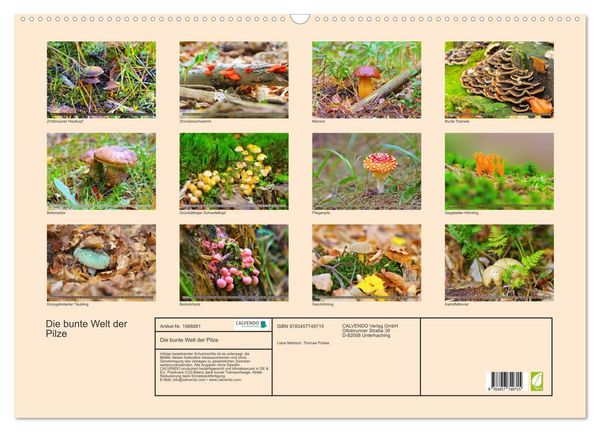 Produktbild: Die bunte Welt der Pilze (Wandkalender 2026 DIN A2 quer), CALVENDO Monatskalender