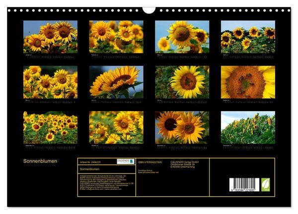 Produktbild: Sonnenblumen (Wandkalender 2027 DIN A3 quer), CALVENDO Monatskalender