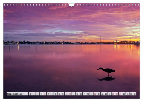 Produktbild: FLORIDA Malerischer Sonnenscheinstaat (Wandkalender 2026 DIN A3 quer), CALVENDO Monatskalender