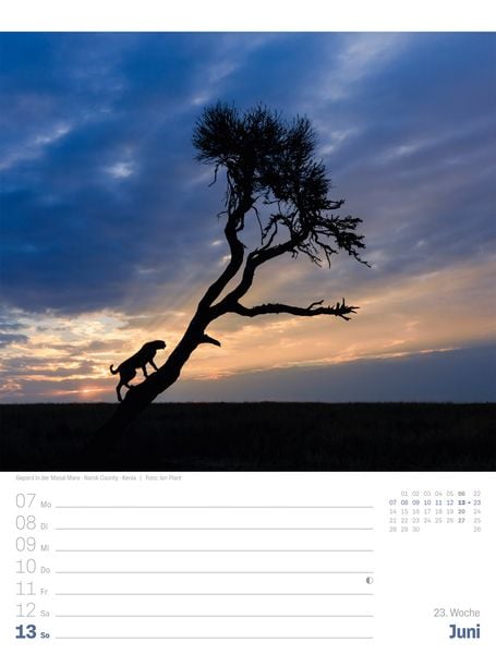 Produktbild: Planet Erde Wochenplaner Kalender 2027 | Landschaften der Welt