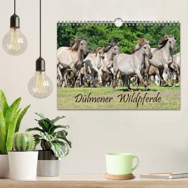 Produktbild: D&uuml;lmener Wildpferde (Wandkalender 2026 DIN A4 quer), CALVENDO Monatskalender