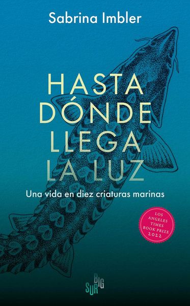 Produktbild: Hasta d&oacute;nde llega la luz