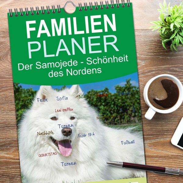 Produktbild: Familienplaner 2026 - Der Samojede - Sch&ouml;nheit des Nordens mit 5 Spalten (Wandkalender, 21 x 45 cm) CALVENDO