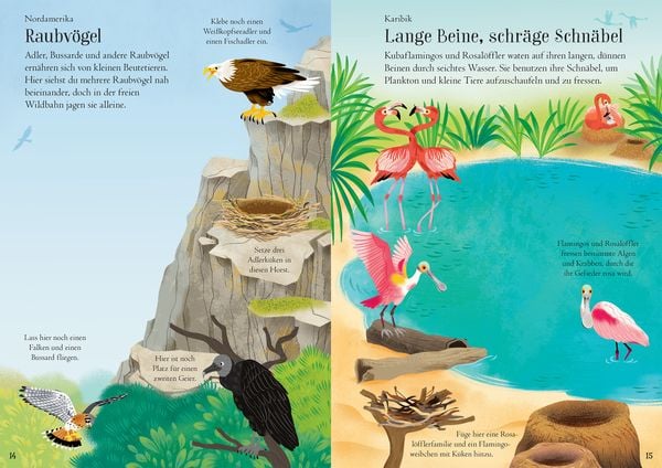 Produktbild: Mein Immer-wieder-Stickerbuch: V&ouml;gel