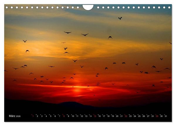 Produktbild: Sonnenunterg&auml;nge &bull; Traumhafte Farbspiele (Wandkalender 2026 DIN A4 quer), CALVENDO Monatskalender