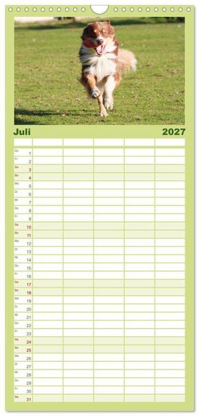 Produktbild: Familienplaner 2027 - Australian Shepherd - H&uuml;tehunde mit Familienanschluss mit 5 Spalten (Wandkalender, 21 x 45 cm) CALVENDO