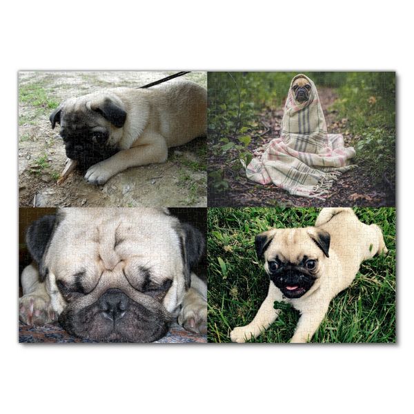 Produktbild: Lais Puzzle Collage Mops 1000 Teile