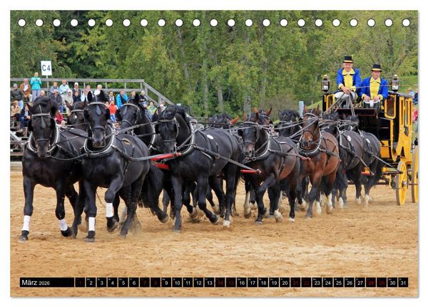 Produktbild: Schwere Warmbl&uuml;ter 2026 (Tischkalender 2026 DIN A5 quer), CALVENDO Monatskalender