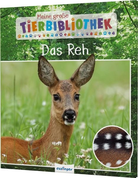 Produktbild: Meine gro&szlig;e Tierbibliothek: Das Reh