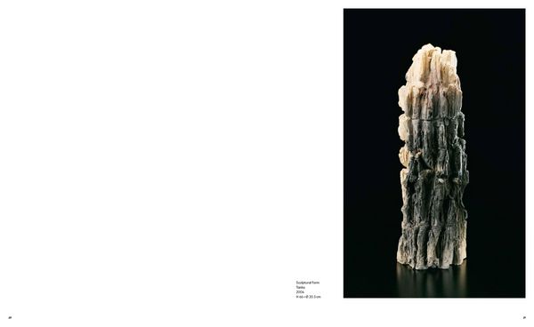 Produktbild: Shozo Michikawa