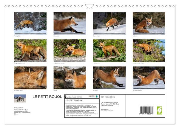 Produktbild: LE PETIT ROUQUIN (Calendrier mural 2026 DIN A3 vertical), CALVENDO calendrier mensuel
