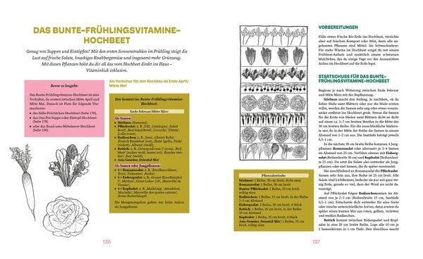 Produktbild: Das gro&szlig;e Hochbeet-Buch