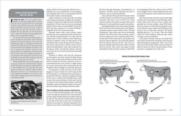 Produktbild: The Cattle Health Handbook