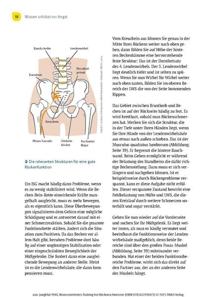 Neurozentriertes Training bei Rückenschmerzen