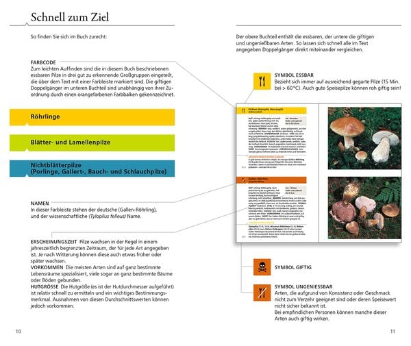 Produktbild: Essbare Pilze und ihre giftigen Doppelg&auml;nger
