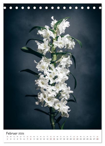 Produktbild: Orchideen Zauber (Tischkalender 2026 DIN A5 hoch), CALVENDO Monatskalender