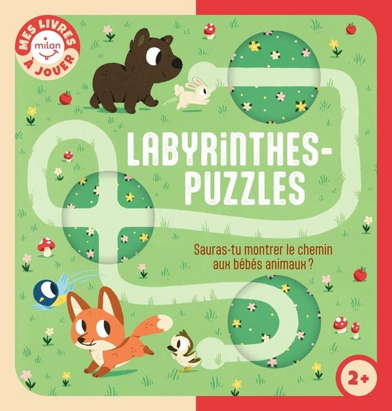 Produktbild: Labyrinthes-puzzles