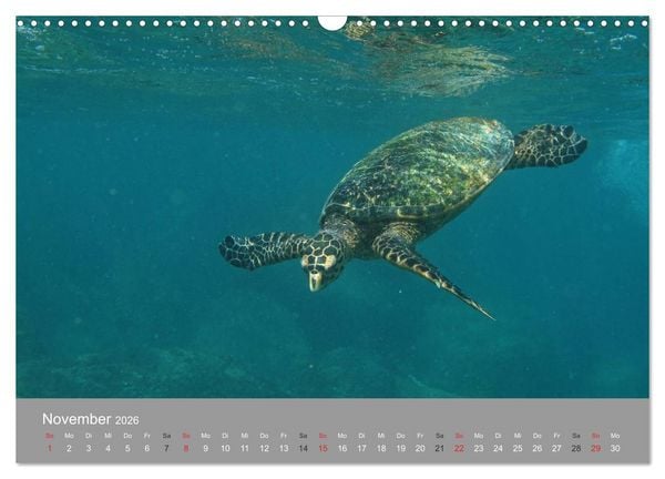 Produktbild: Seychellen (Wandkalender 2026 DIN A3 quer), CALVENDO Monatskalender