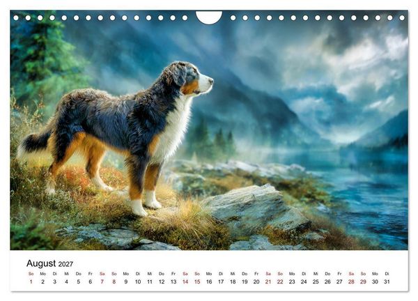 Produktbild: Stolz und Sanftmut - Berner Sennenhunde (Wandkalender 2027 DIN A4 quer), CALVENDO Monatskalender