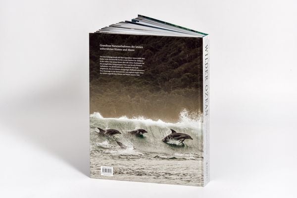 Produktbild: Wilder Ozean
