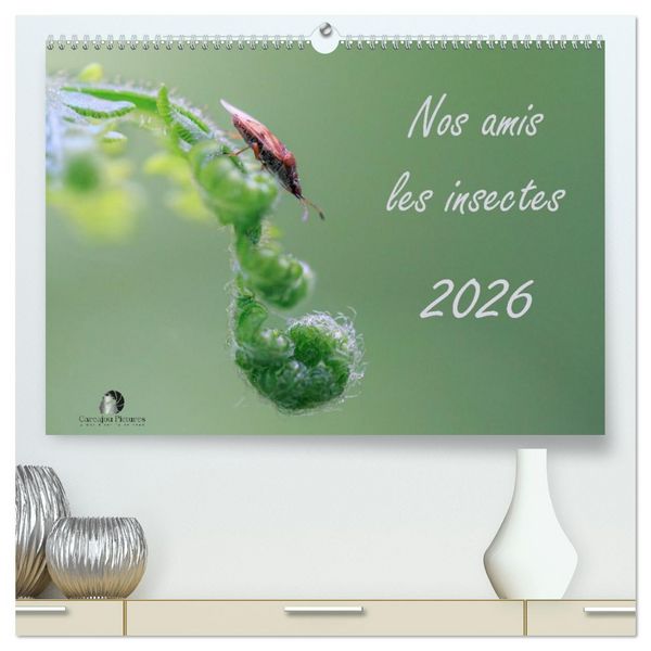 Produktbild: Nos amis les insectes (Calendrier mural 2026 DIN A2 vertical) calendrier de bureau