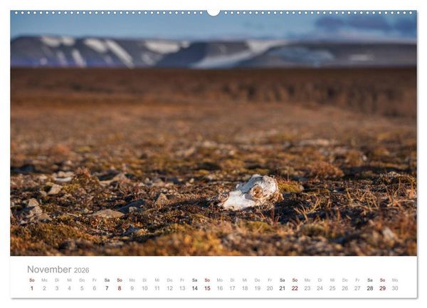 Produktbild: Spitzbergen - Wild.Rau.Ungez&auml;hmt. (Wandkalender 2026 DIN A2 quer), CALVENDO Monatskalender