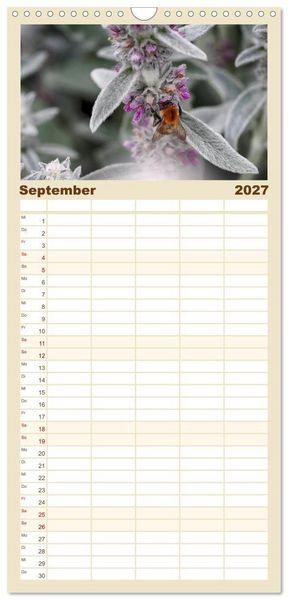 Produktbild: Familienplaner 2027 - Hummelflug mit 5 Spalten (Wandkalender, 21 x 45 cm) CALVENDO