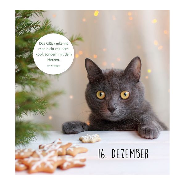 Produktbild: Auf Samtpfoten durch den Advent