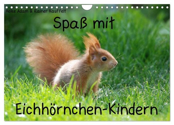 Produktbild: Spa&szlig; mit Eichh&ouml;rnchen-Kindern (Wandkalender 2026 DIN A4 quer), CALVENDO Monatskalender
